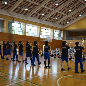 SHIODA LAY LINE DRAGON